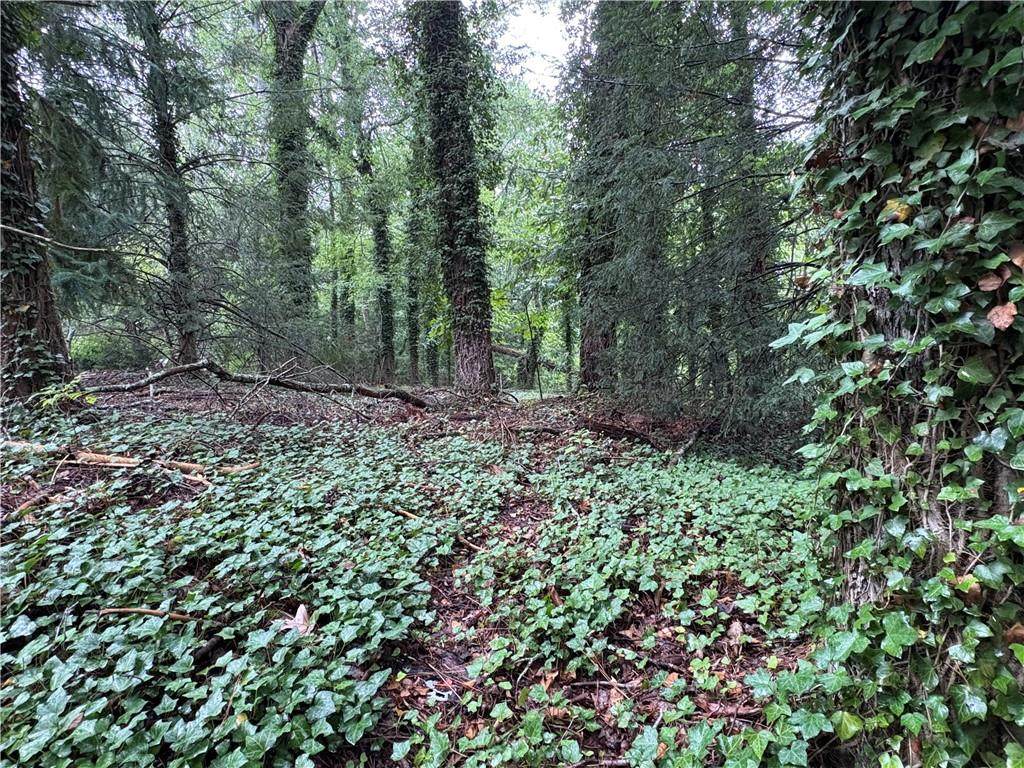 00 Green Rd - Photo 1