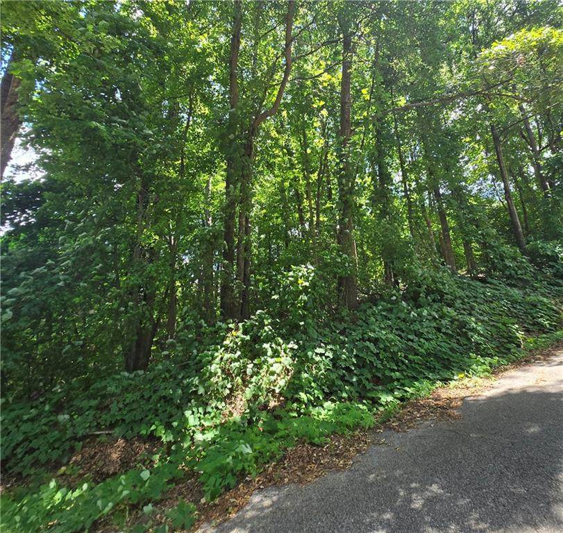 0 Beechwood Road - Photo 1