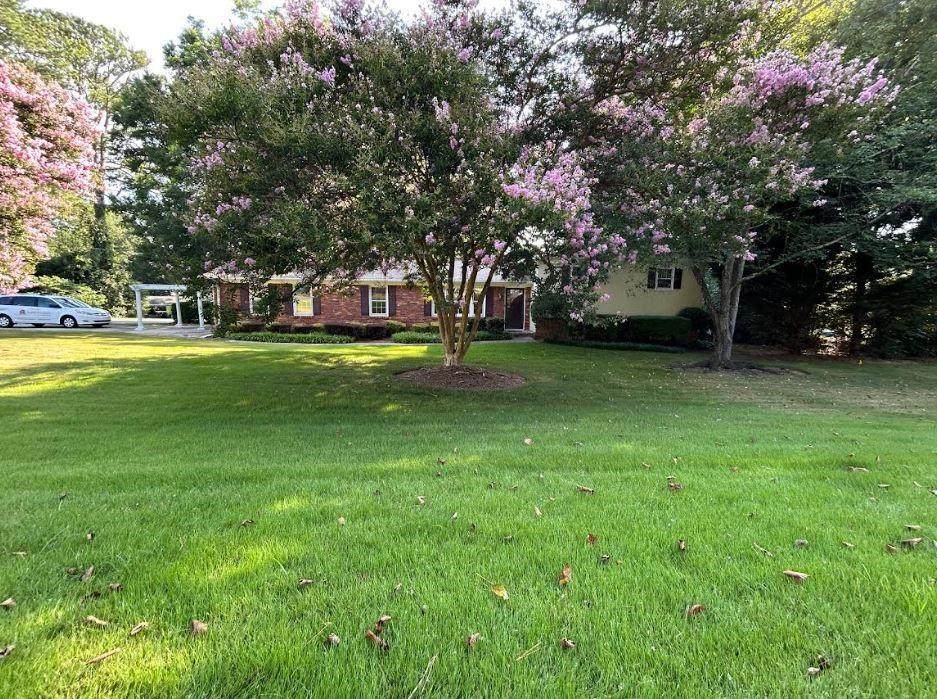 3170 Ebenezer Road - Photo 1