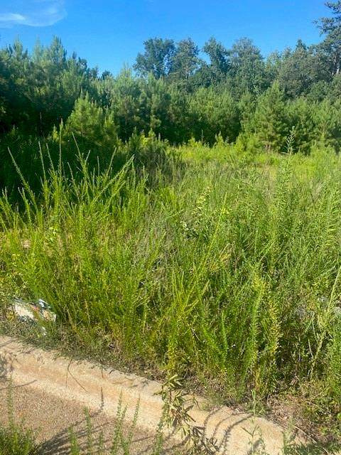 0 Northlake Drive - Photo 1