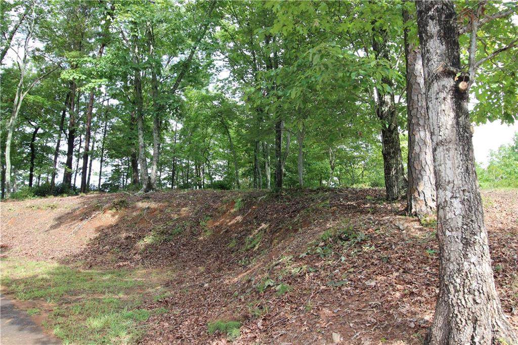 1034 Ainu Court - Photo 1