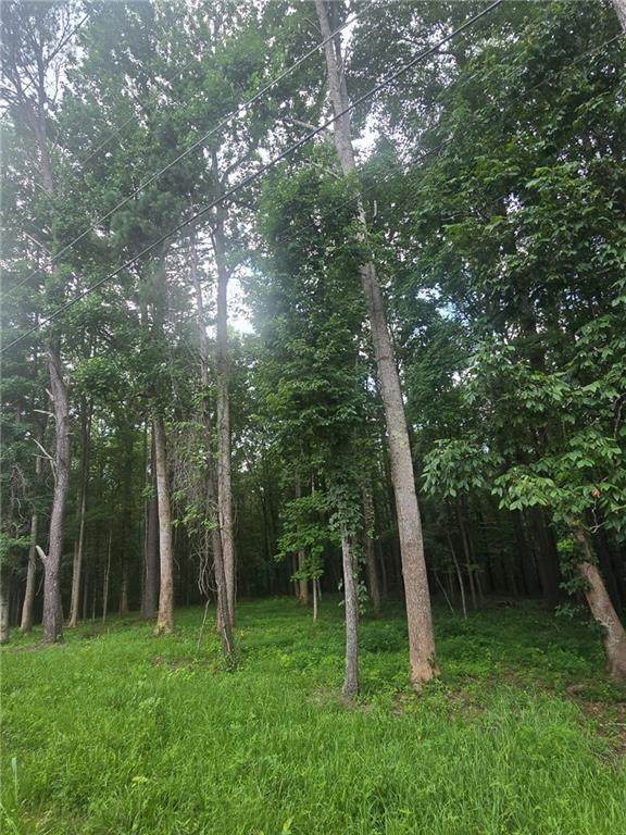 6147 Little Ridge Road - Photo 1