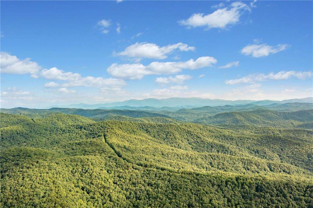 67 Falls Trail - Photo 1