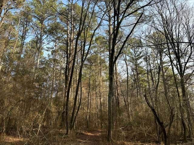 2994 Mt Zion Rd #1 - Photo 1