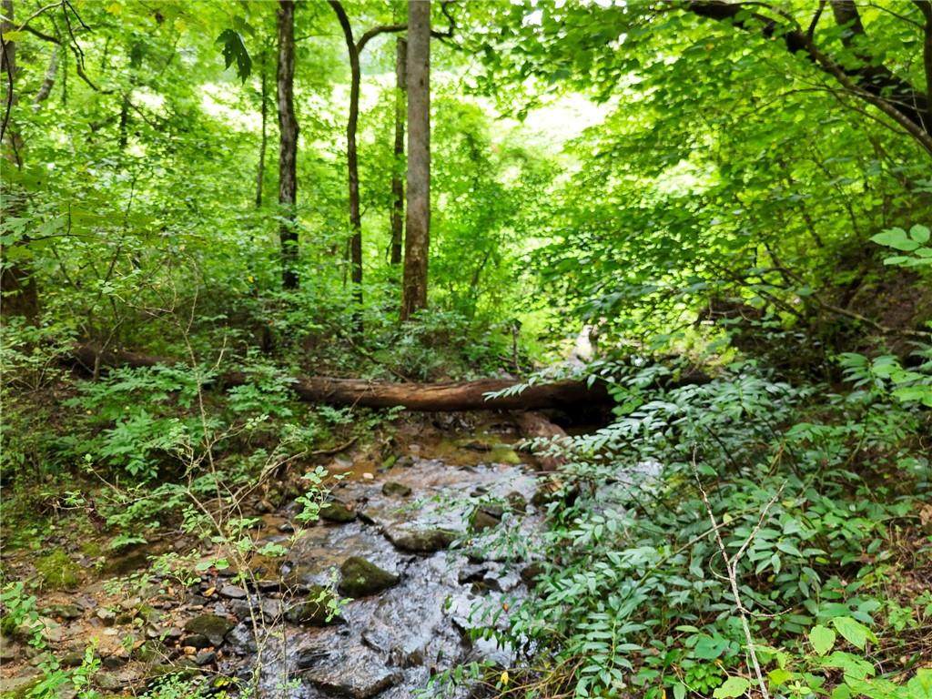 0 Highway 76 East - Photo 1