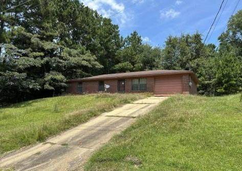 310 Sycamore Drive - Photo 1