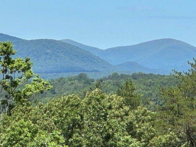 1048 Bear Paw Ridge - Photo 1