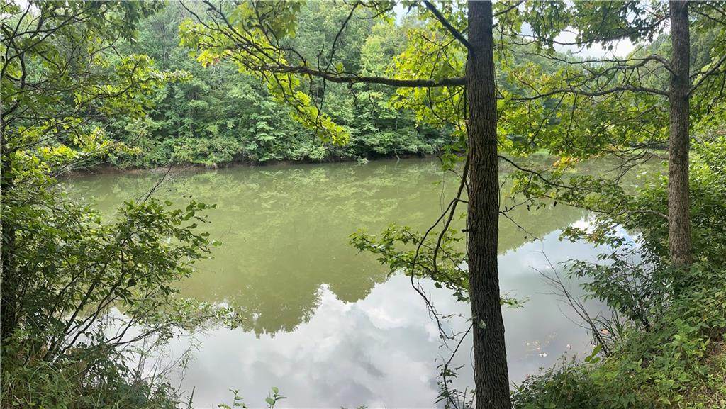 308 Old Whitestone Road - Photo 1