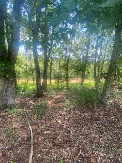 1764 Flatbottom Road - Photo 1