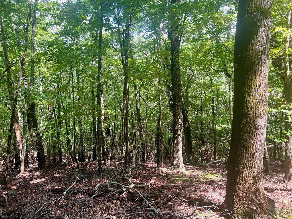 750 Tee Court - Photo 1