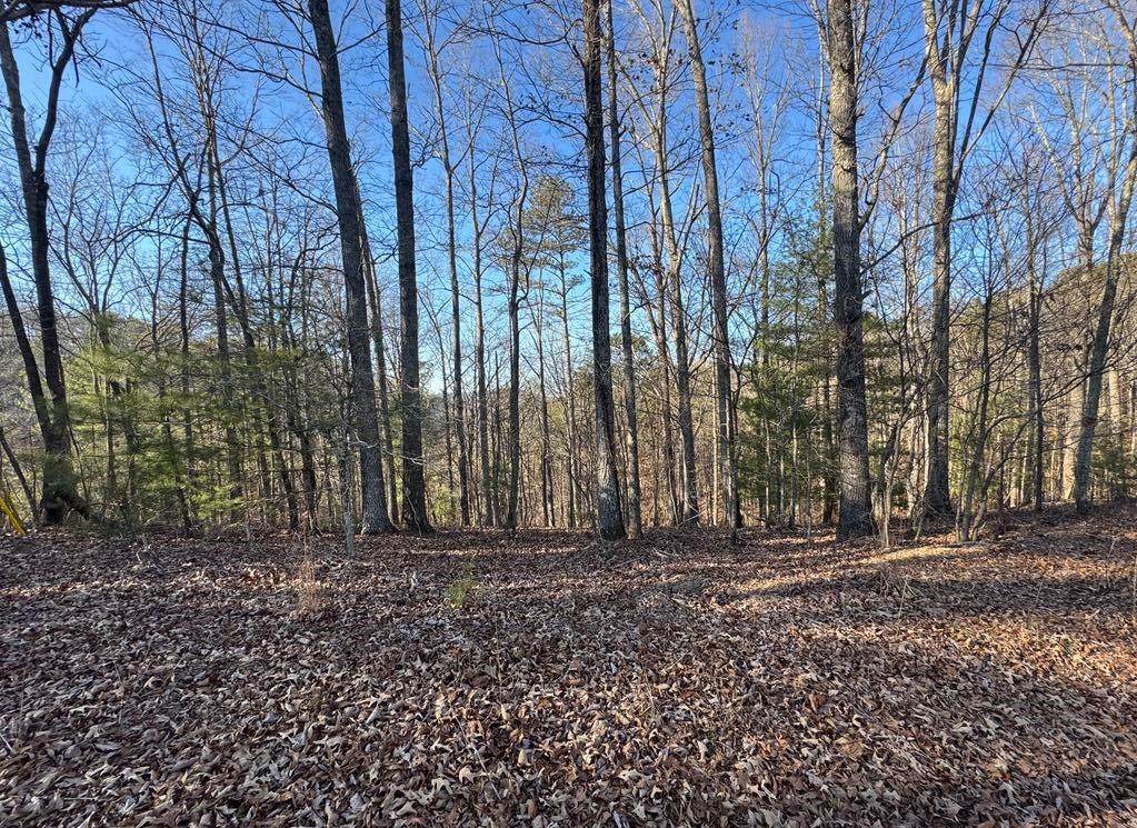 0 Rebekah Ridge Lot 1710 - Photo 1