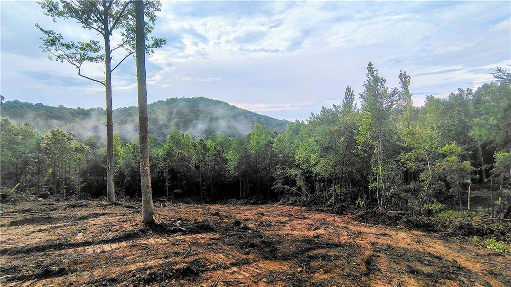 0 Hawthorne Hill Road - Photo 1