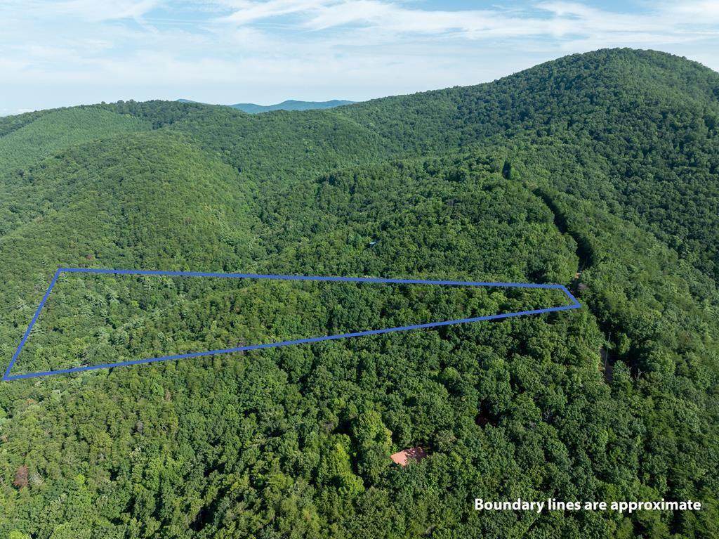 LOT 9 Brushy Top Drive - Photo 1