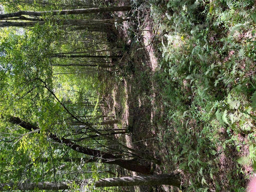 0 Ga Highway 120 - Photo 1