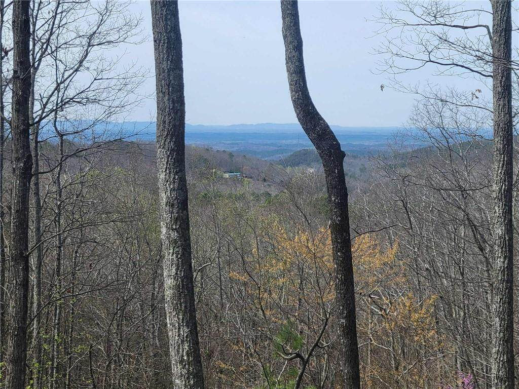 1005 Mayfield Lane - Photo 1