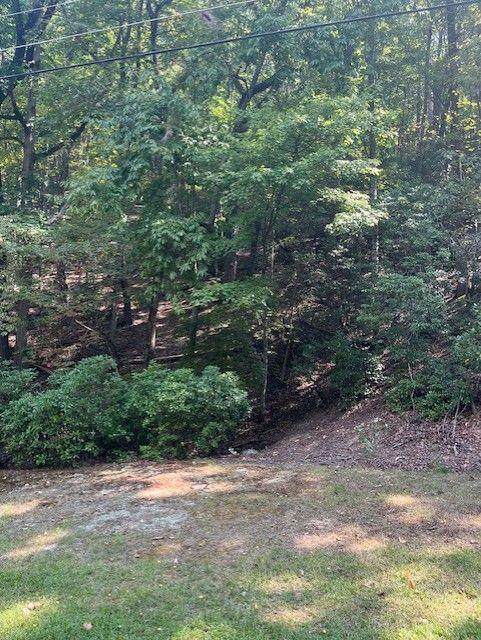 182 Morse Elm Loop - Photo 1