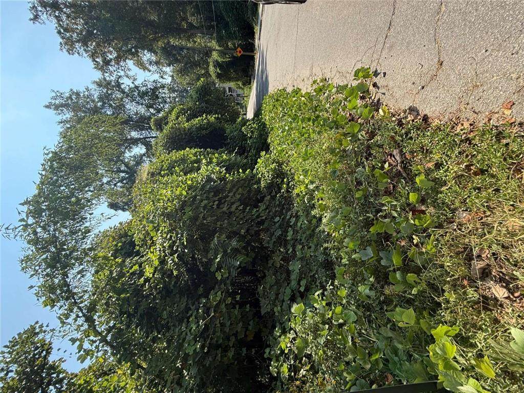 0 Lotus Avenue - Photo 1