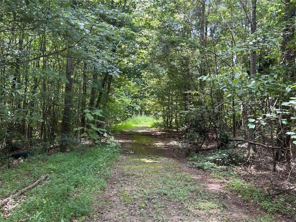 4923 Amsler Road - Photo 1