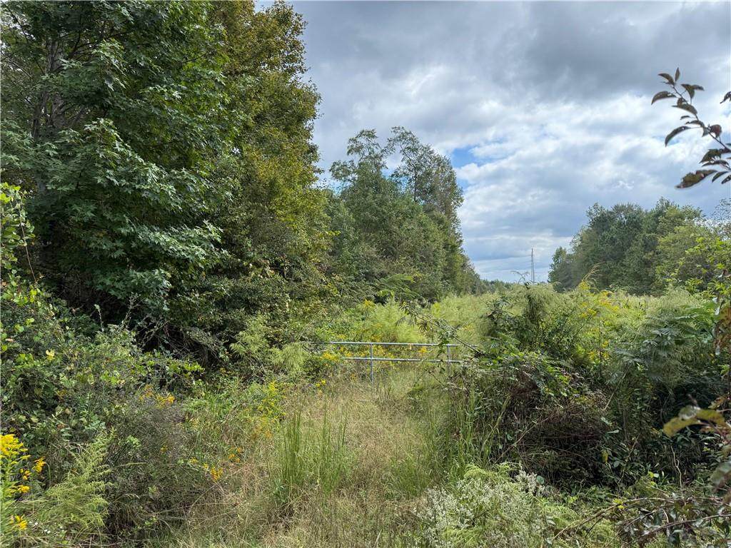 0 Magnolia Avenue - Photo 1