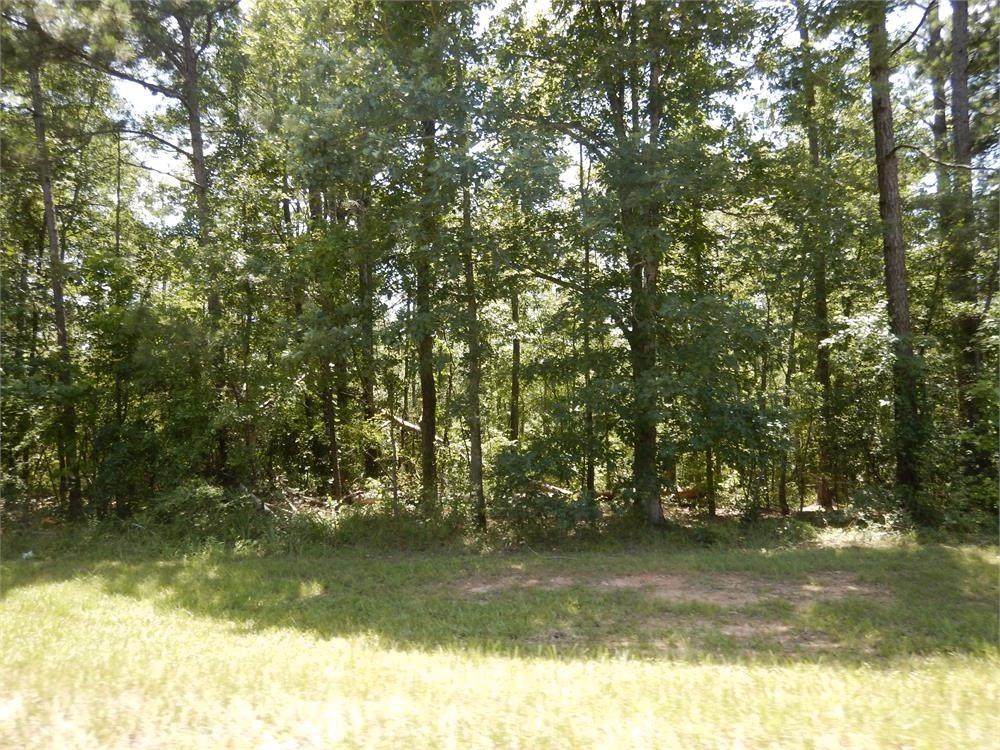 2771 Carey Station Rd Street - Photo 1