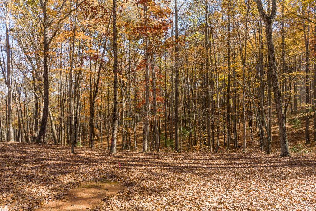 LT 17R Tanager Trail - Photo 1