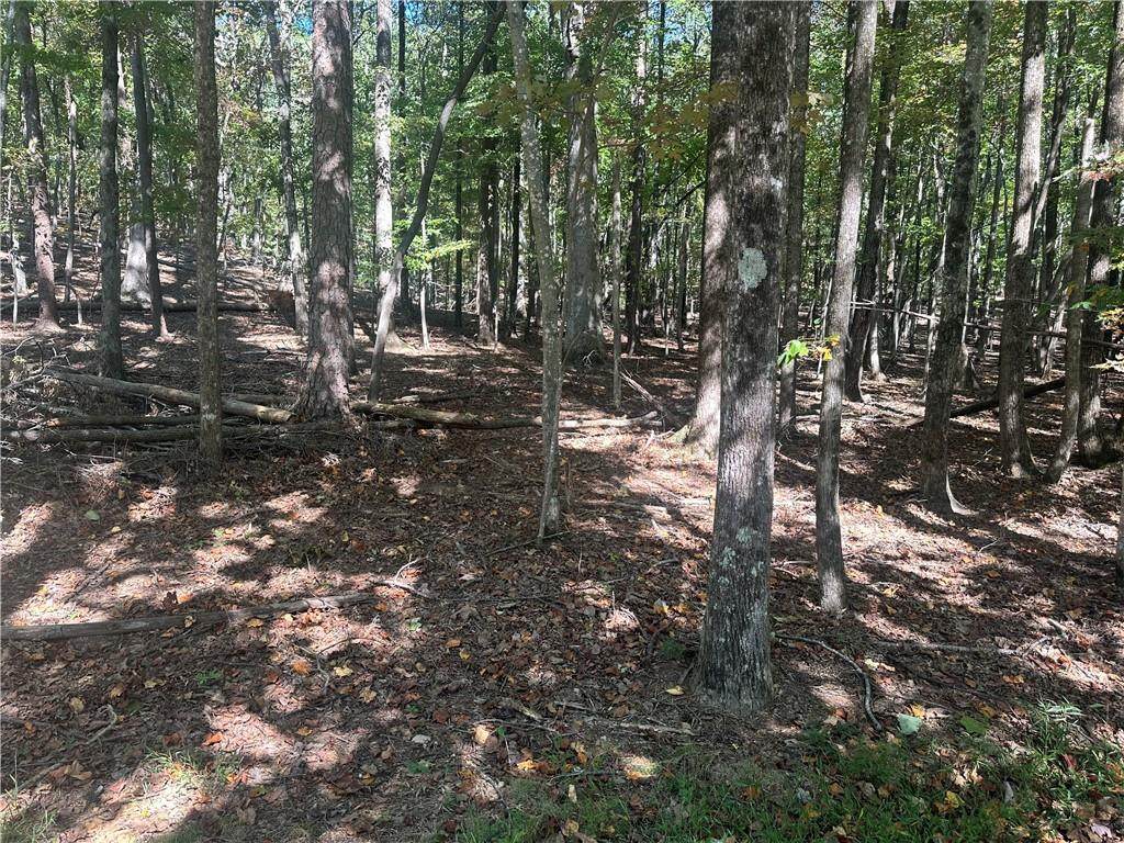 Lt1352 Willow Terrace - Photo 1