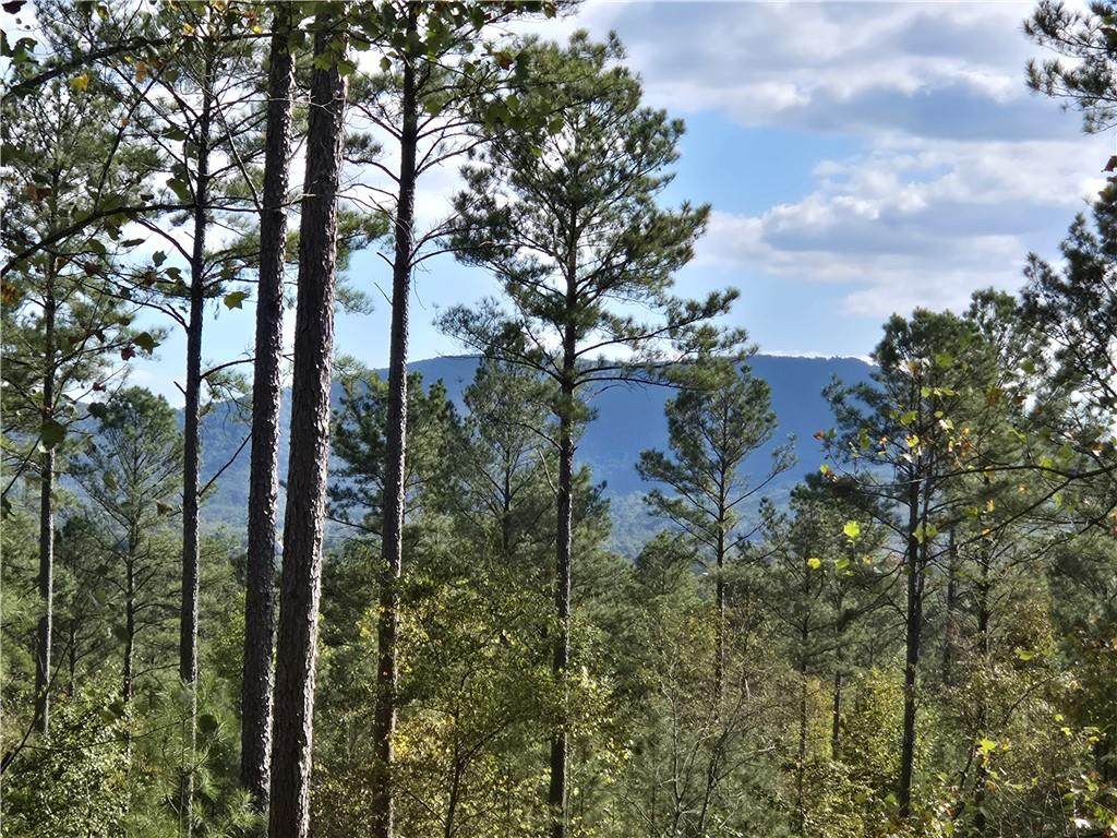 3871 Hwy 140 - Photo 1