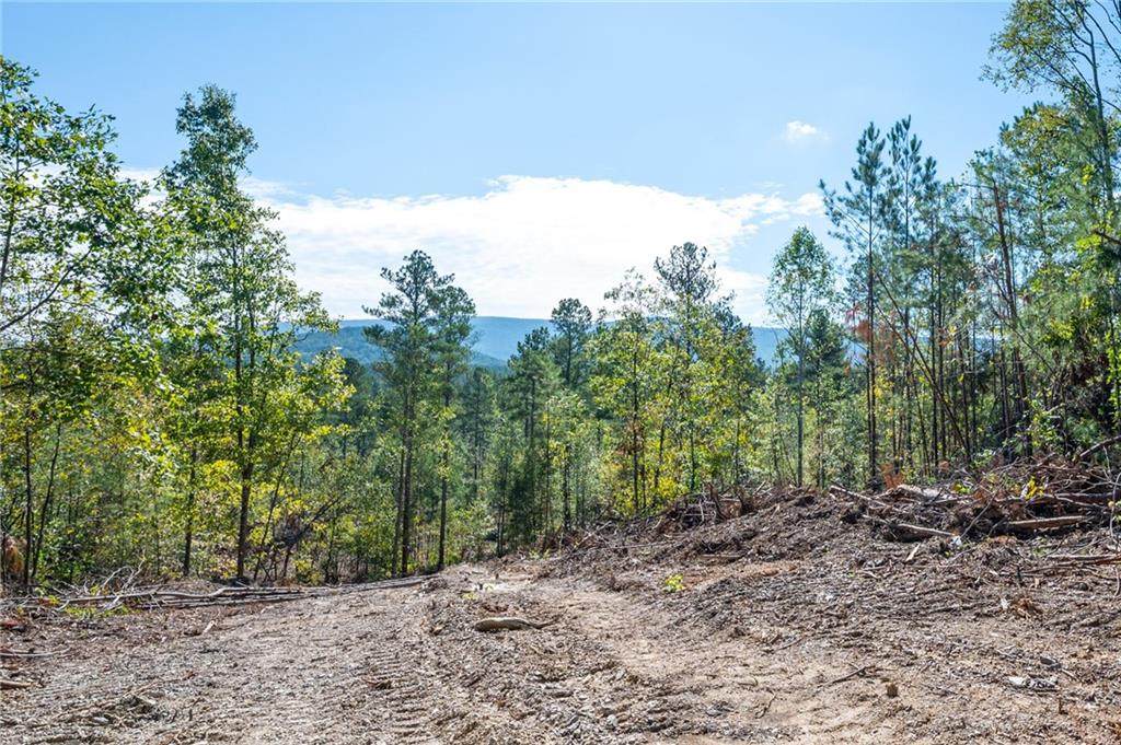 3793 Hwy 140 - Photo 1