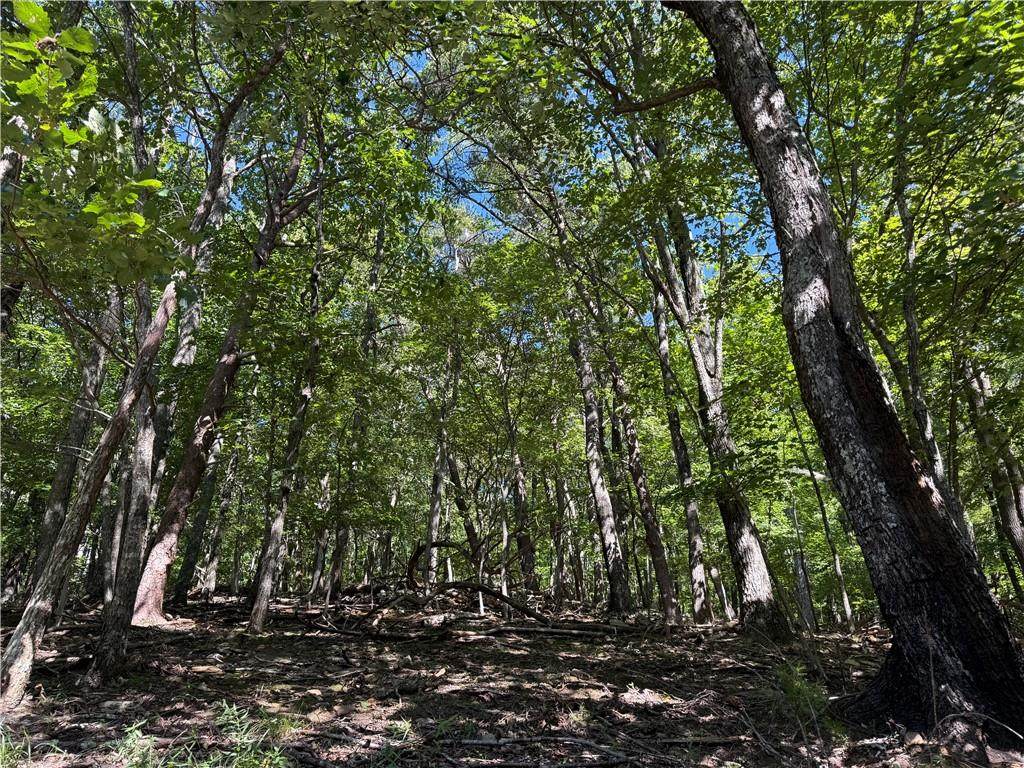 0 Moss Patch Trail - Photo 1