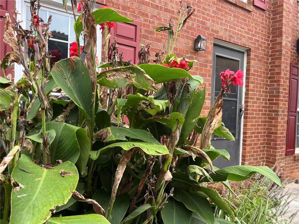 1166 Booth Road - Photo 1