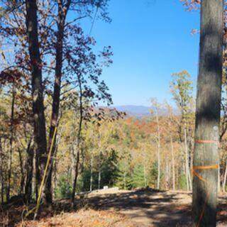 977 Raccoon Ridge - Photo 1