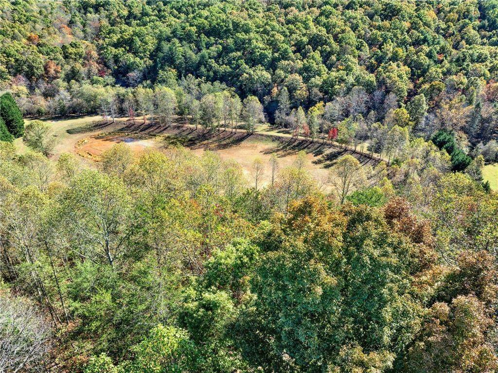 134 Elkmont Drive - Photo 1