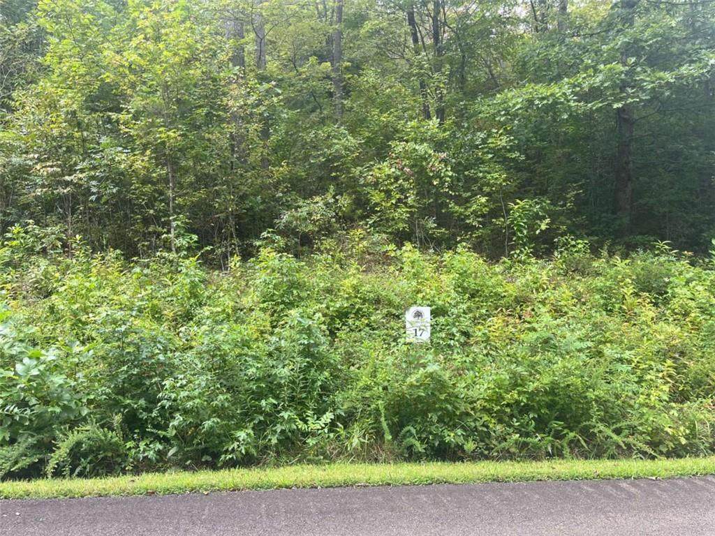 LOT 17 Staurolite Mountain Drive - Photo 1