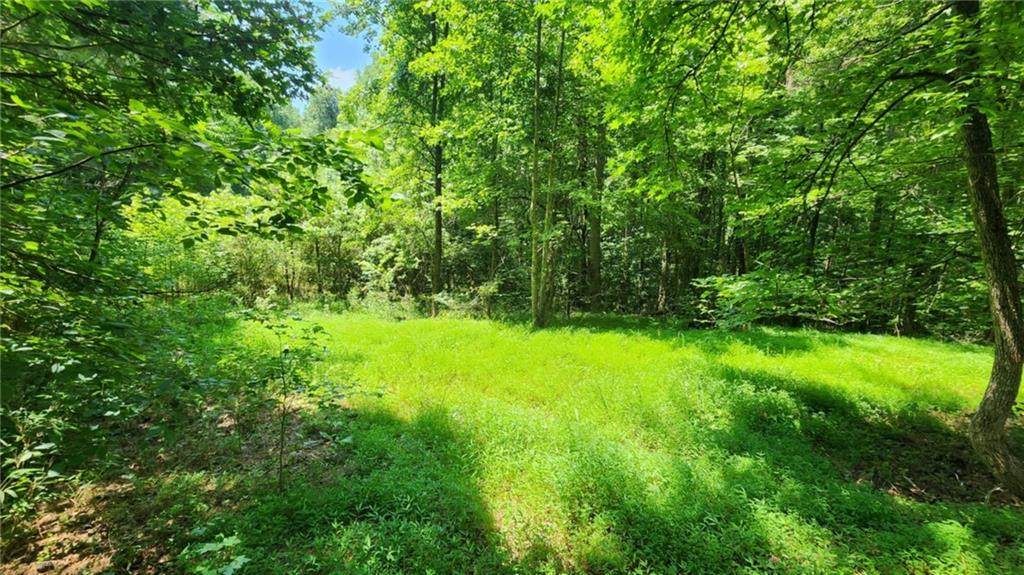 134 Cicero Trail - Photo 1