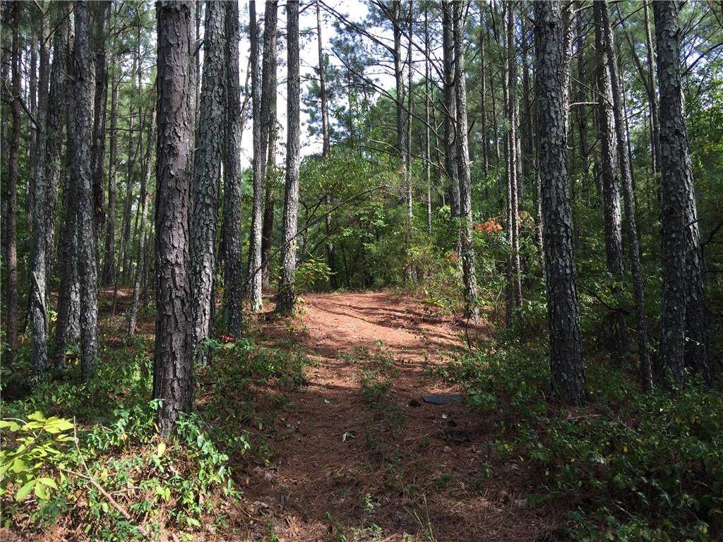 100 Valley View Drive - Photo 1