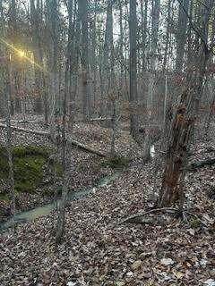 00 River Ridge Trail - Photo 1
