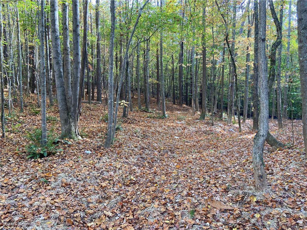 0 Lone Bear Path - Photo 1