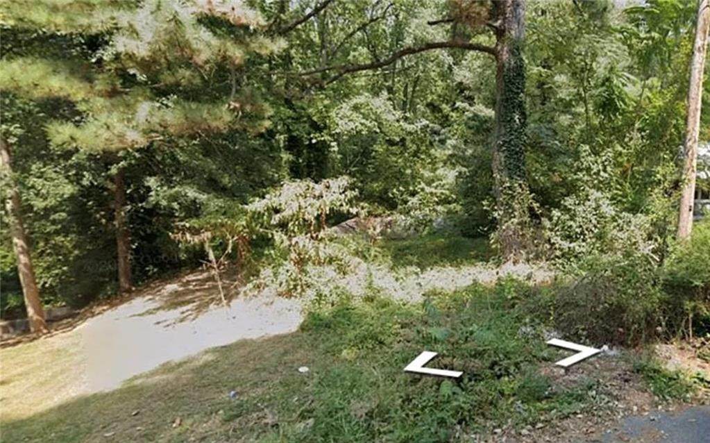 2319 Tiger Flowers Drive - Photo 1