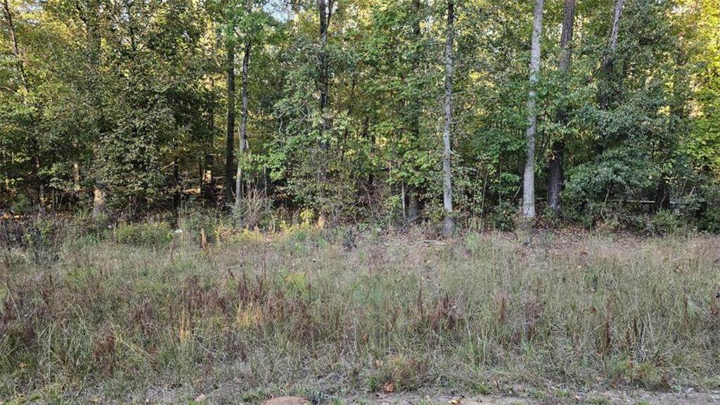 6 Bear Creek Marina Road - Photo 1