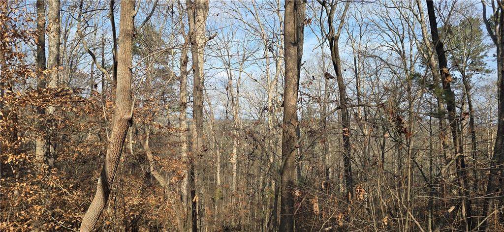 00001 Matt Highway - Photo 1