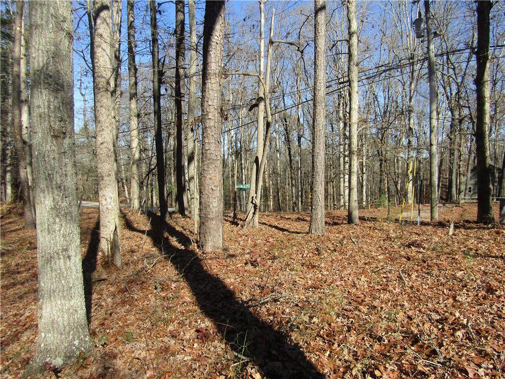 0000 Fence Road - Photo 1