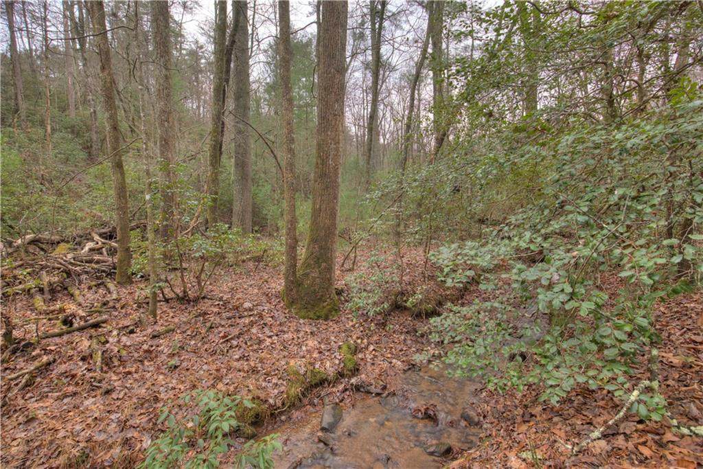 2152 Royal Fern Trail - Photo 1