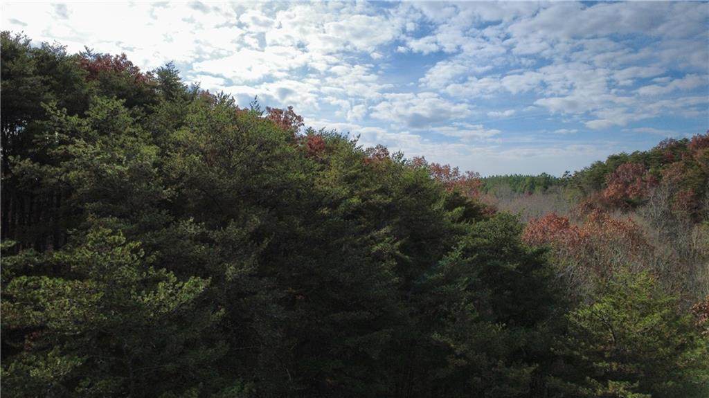 Tract 30 Deerfield Estates - Photo 1