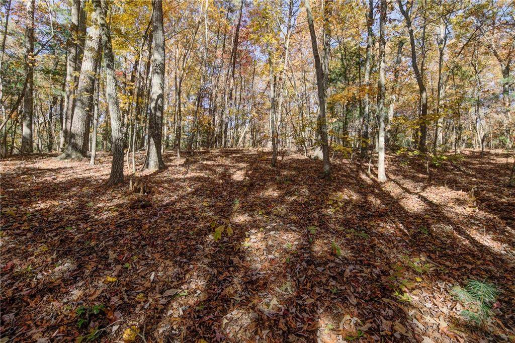 00 Elliott Family Parkway - Photo 1