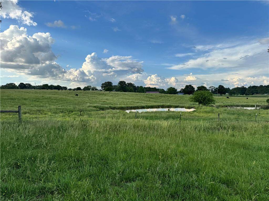 2113 Union Grove Church Road - Photo 1