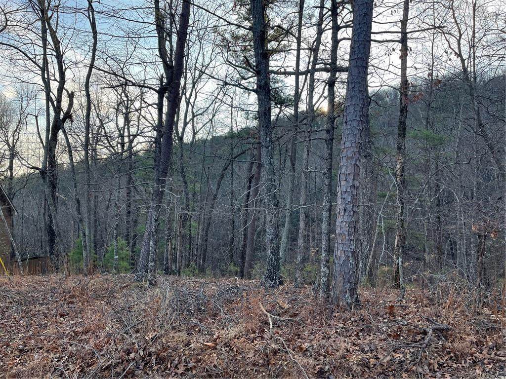 205 Sharp Top Mountain Trail - Photo 1