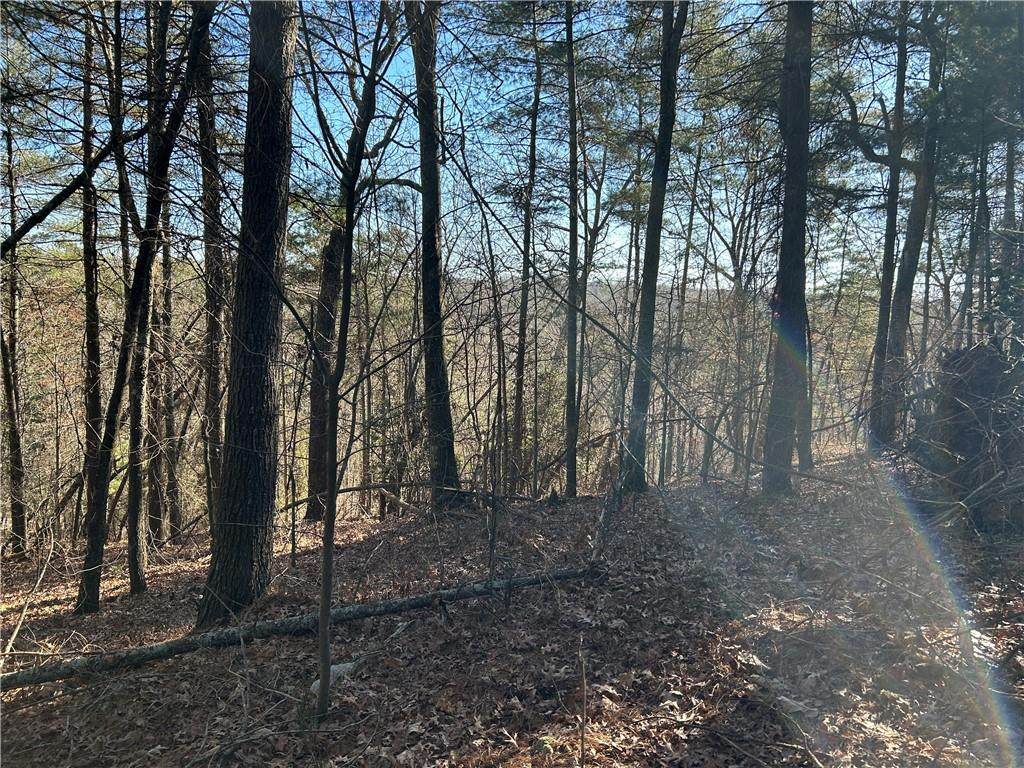 00000 Twin River Orchard Road - Photo 1