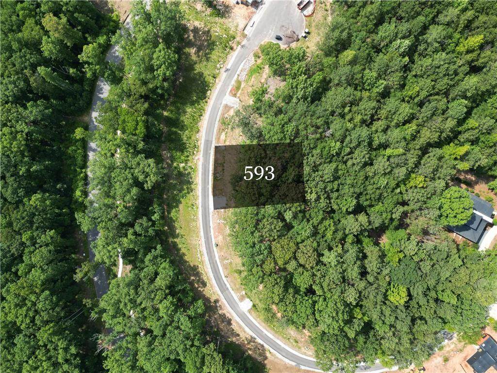1069 Lupo Loop - Photo 1