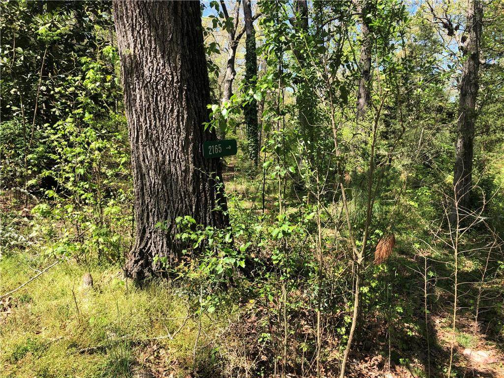 2165 Old Salem Road - Photo 1