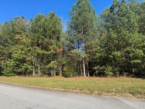 4020 Gold Springs Pass - Photo 1
